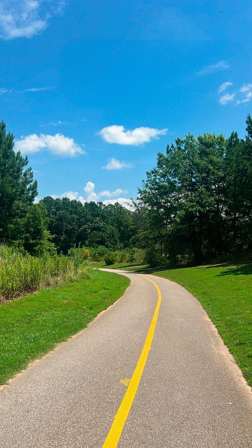 A Guide to Trails at the NC Museum of&nbsp;Art